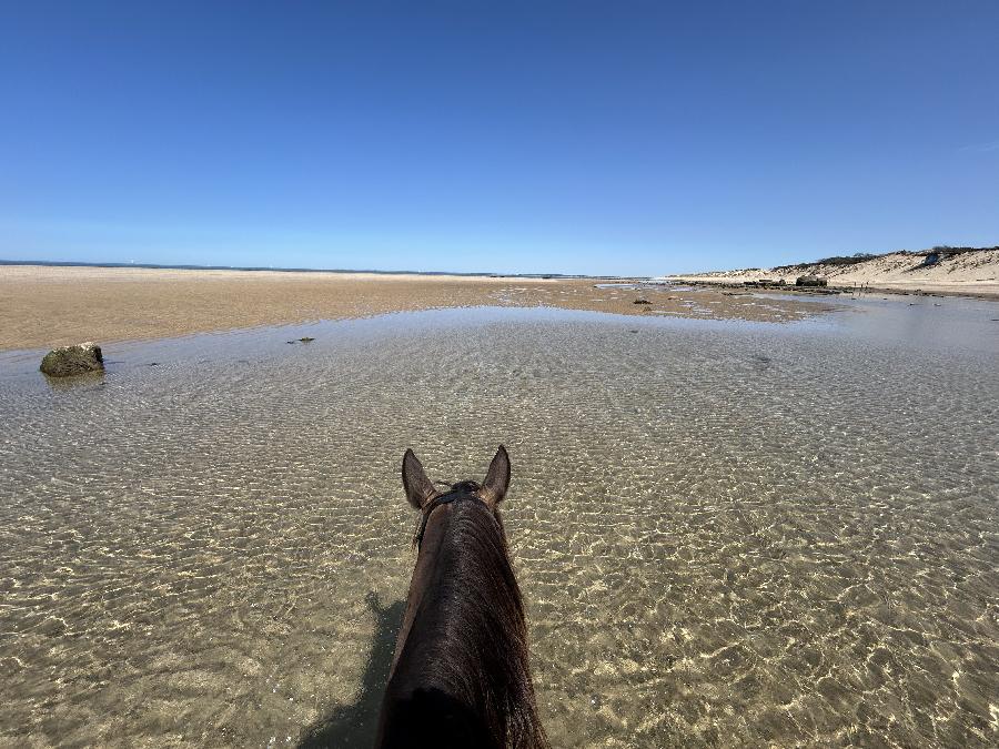 sejour Gironde PNR du Mdoc