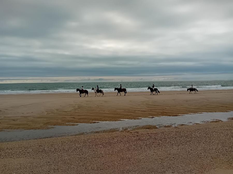 rando Balade  cheval Gironde