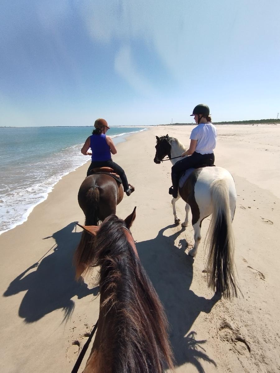 Randonne questre Gironde Mdoc photo 2