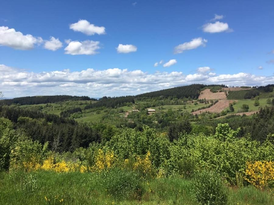 sejour Puy-de-dme PNR du Livradois Forez photo 4