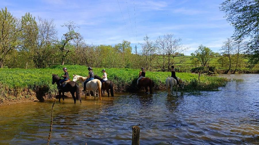 rando Balade  cheval Sane-et-Loire