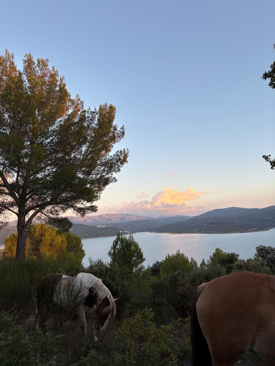 sejour Var PNR du Verdon photo 4