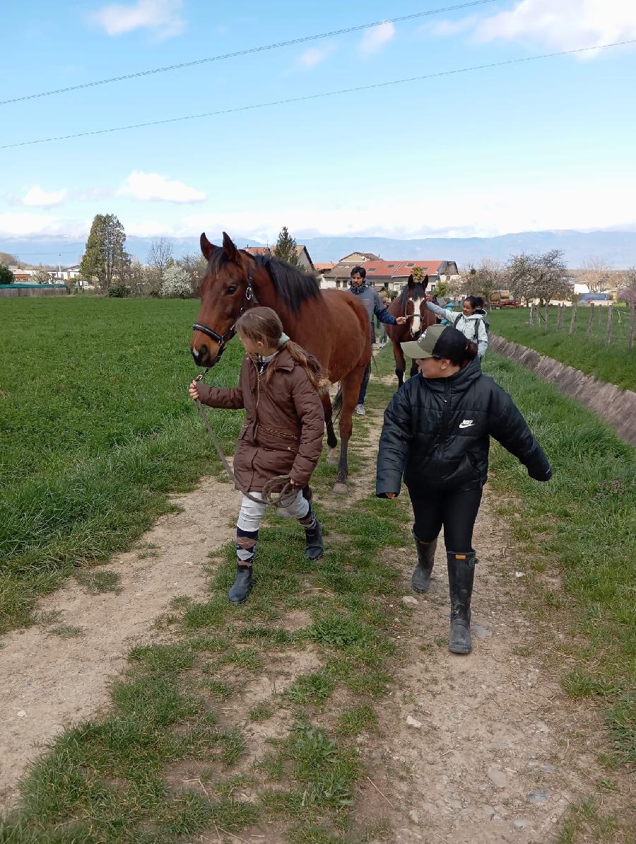 sejour Haute-Savoie Chablais Haut-Savoyard photo 5