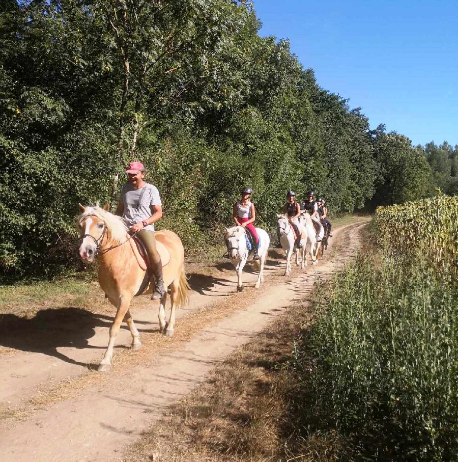 Sjour questre Puy-de-dme PNR du Livradois Forez photo 4