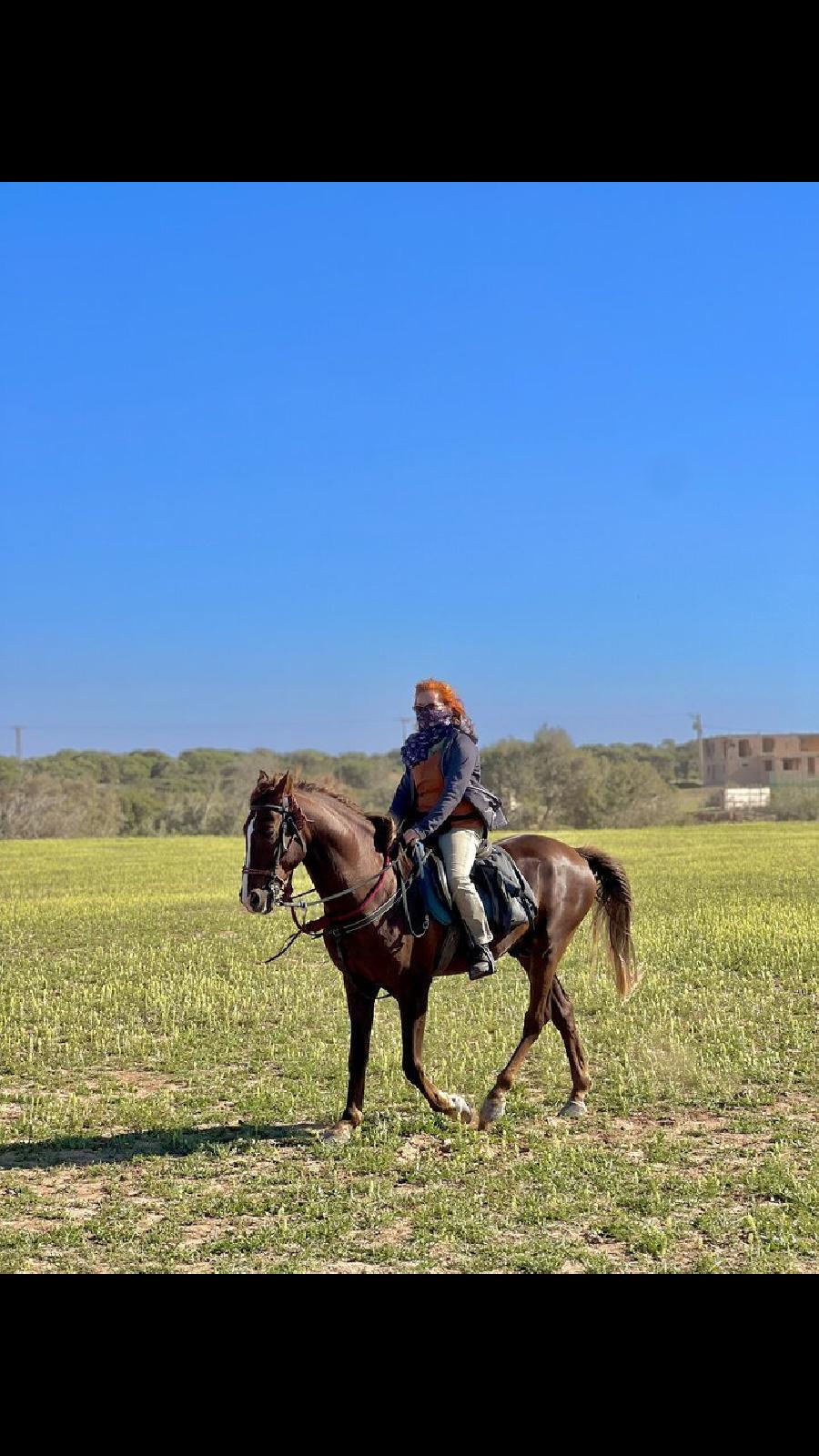 Voyage  cheval MAROC  photo 3