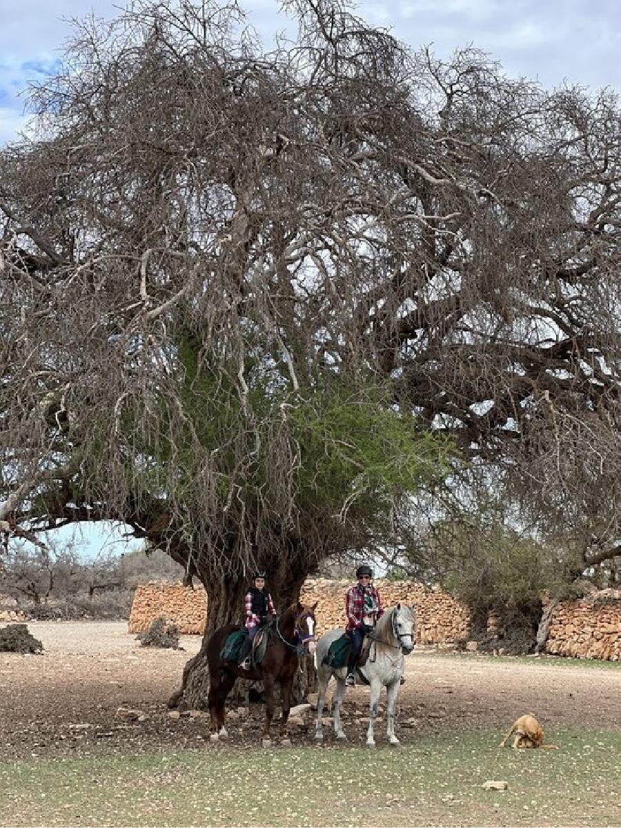 sejour MAROC  photo 2