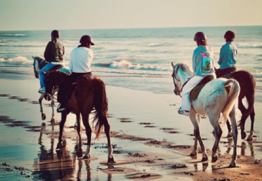 Voyage  cheval MAROC 