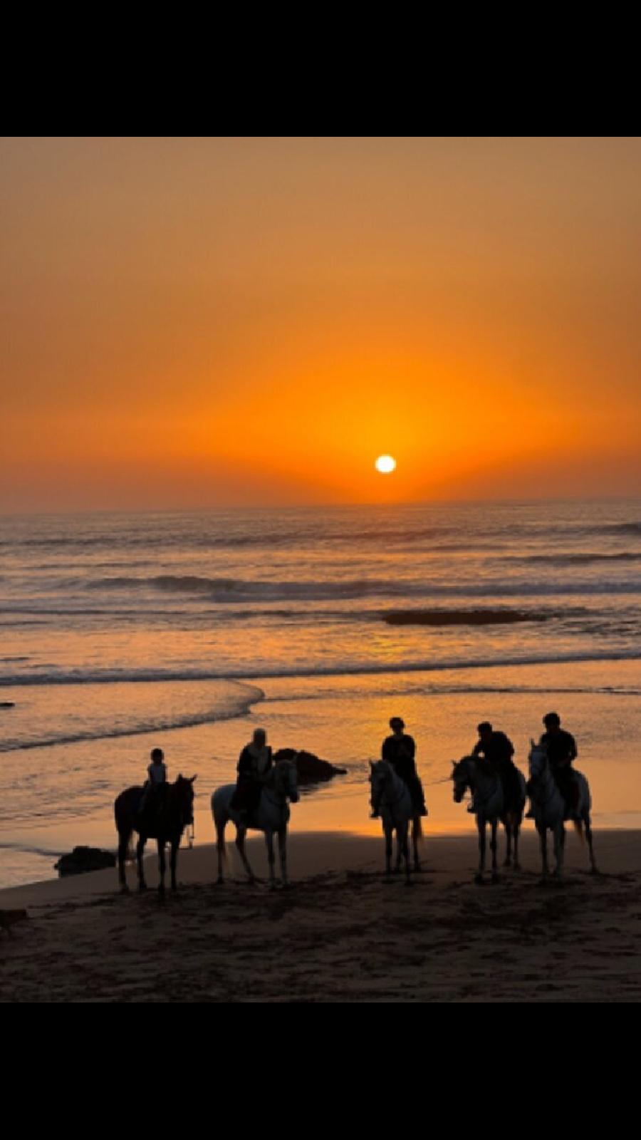 Voyage  cheval MAROC  photo 2