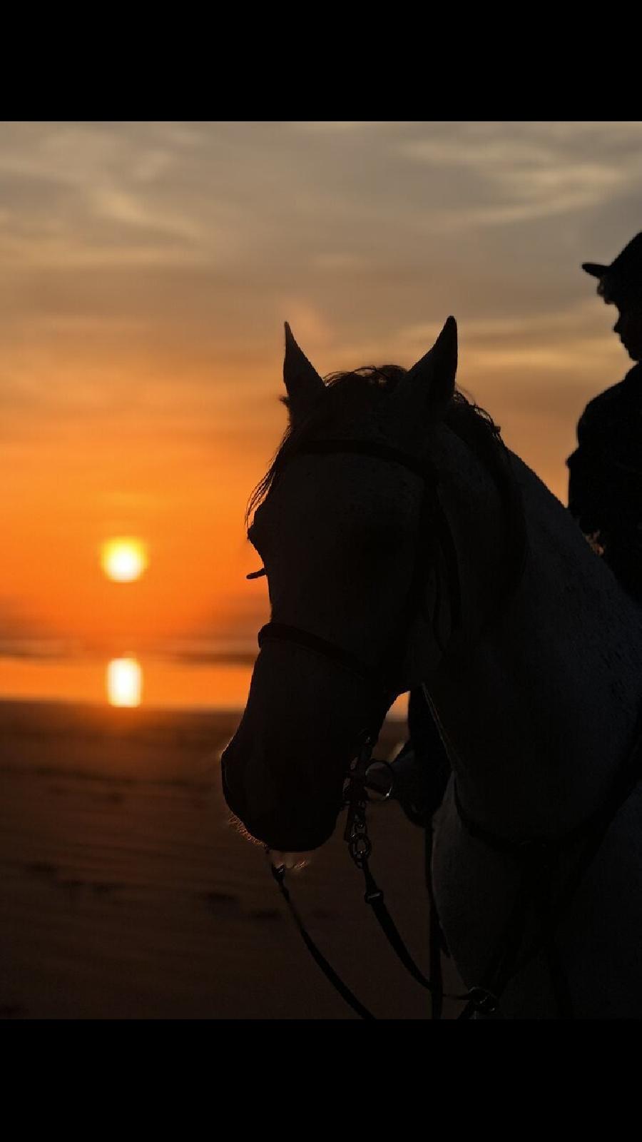 Voyage  cheval MAROC  photo 3