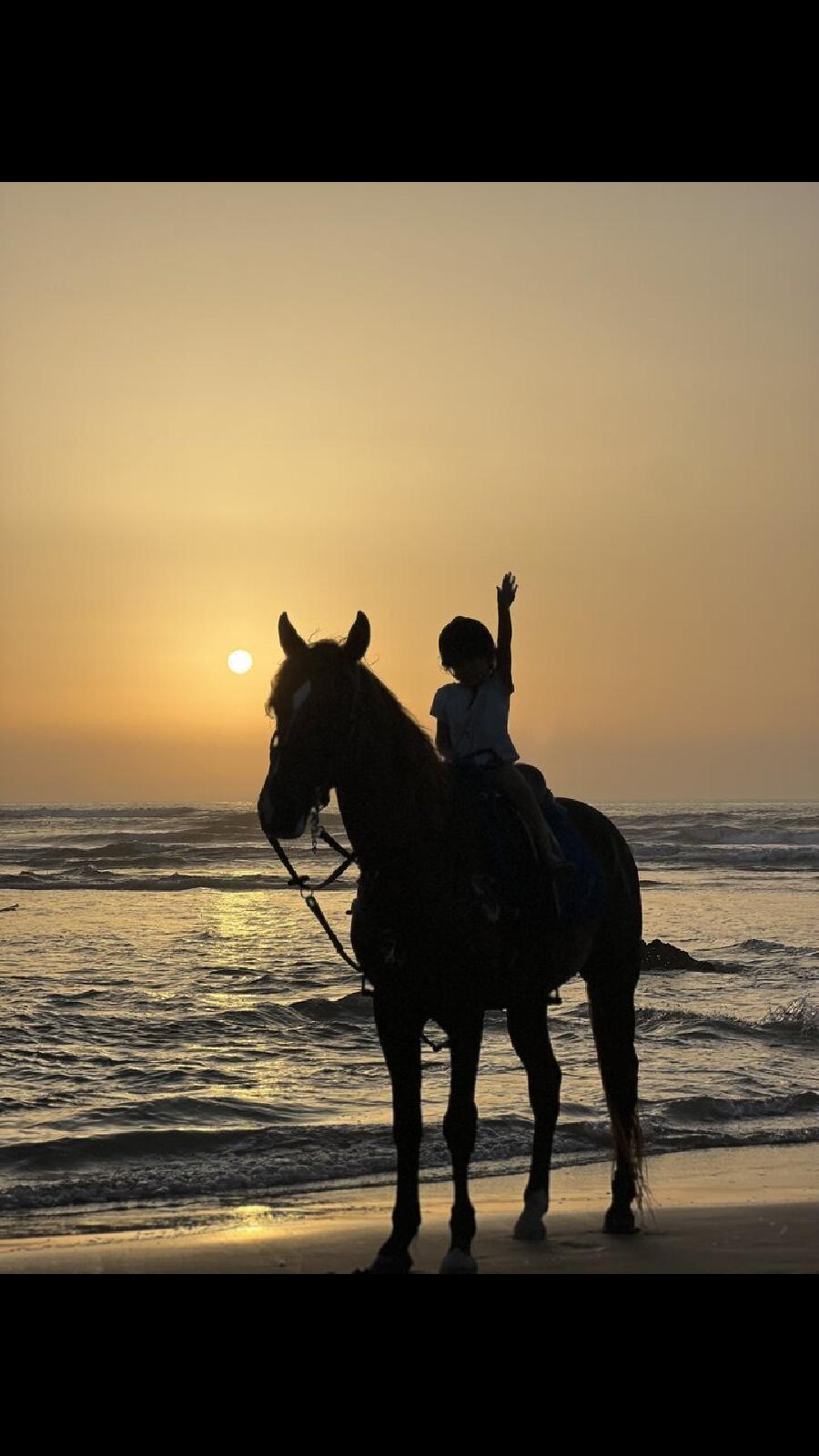 Voyage  cheval MAROC  photo 5