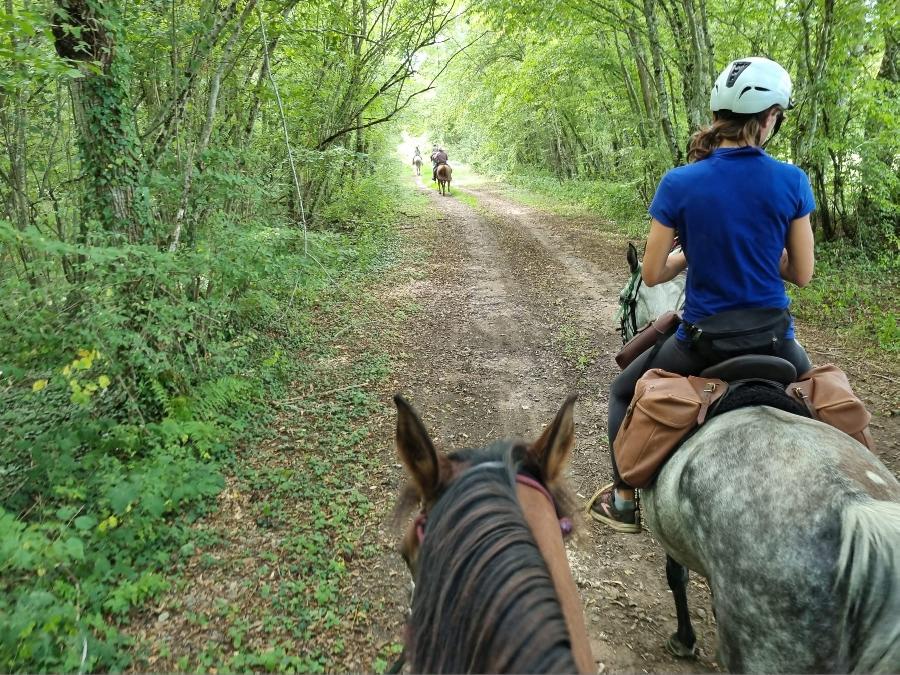 Sjour questre Cte-dOr Bourgogne photo 4