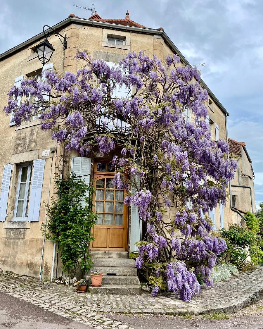 Randonne questre Cte-dOr Bourgogne photo 4