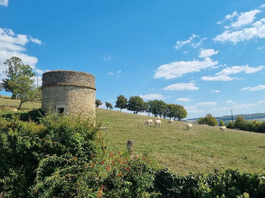 Randonne questre Cte-dOr Bourgogne photo 3