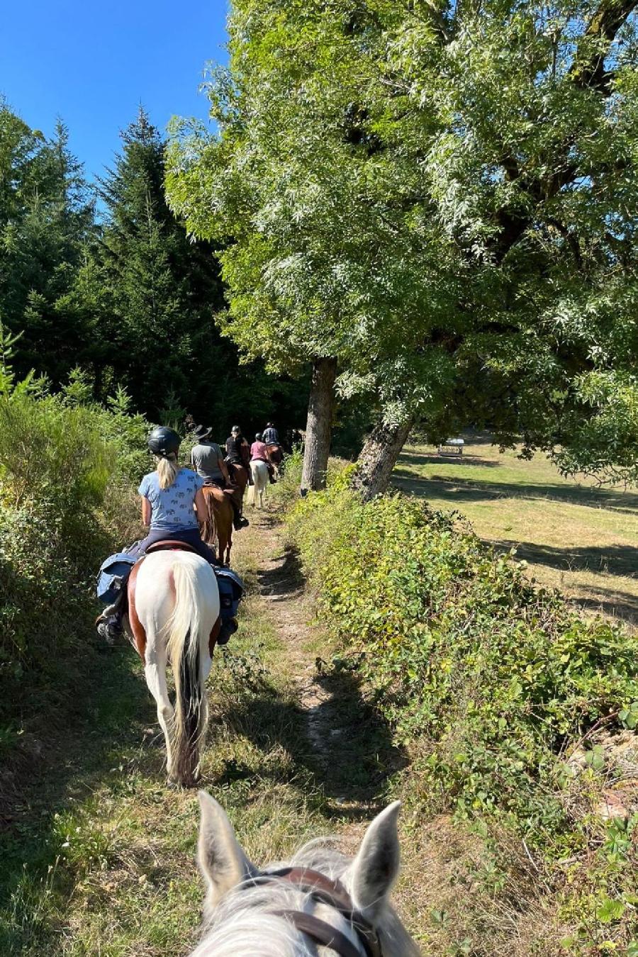 Sjour questre Cte-dOr Bourgogne photo 5