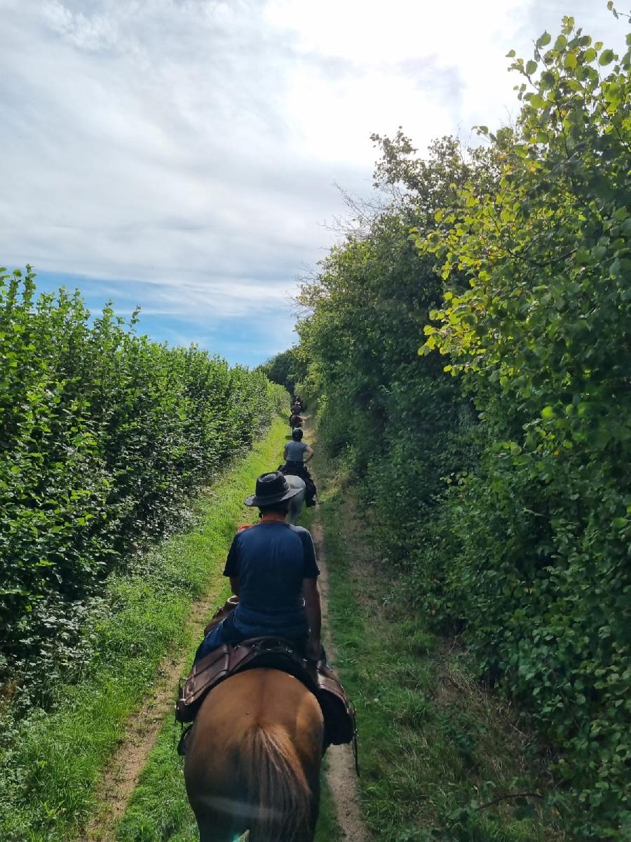sejour Cte-dOr PNR du Morvan photo 2