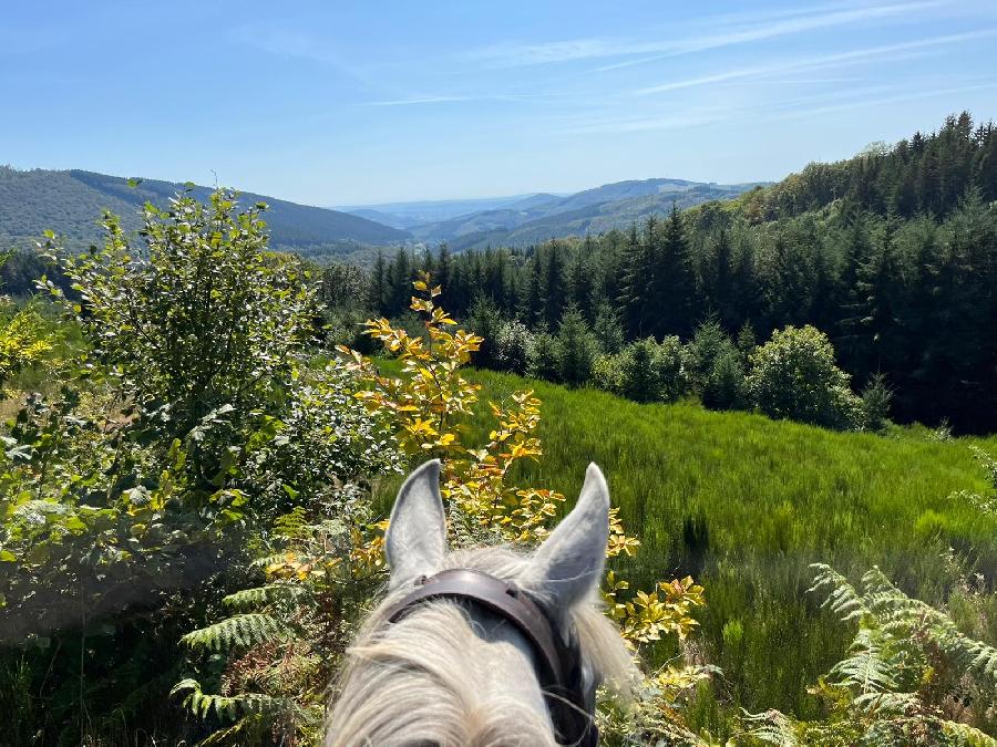 sejour Cte-dOr PNR du Morvan photo 4