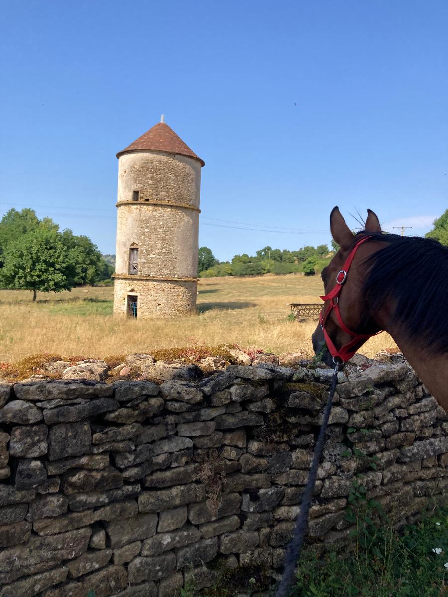 sejour Cte-dOr PNR du Morvan photo 5
