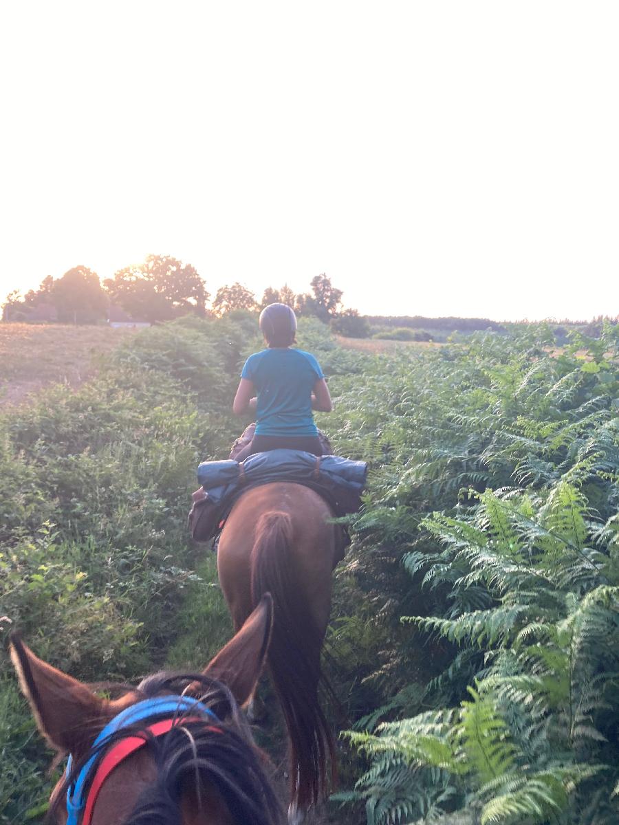 sejour Cte-dOr PNR du Morvan photo 6