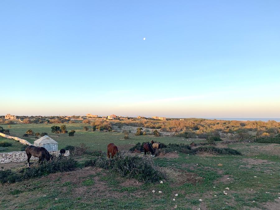 rando Randonne questre MAROC