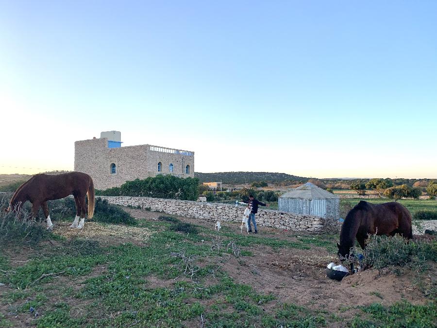 rando Randonne questre MAROC