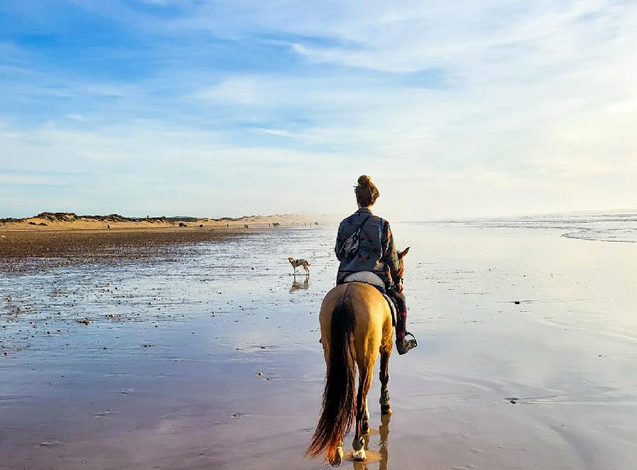 Voyage  cheval MAROC  photo 2