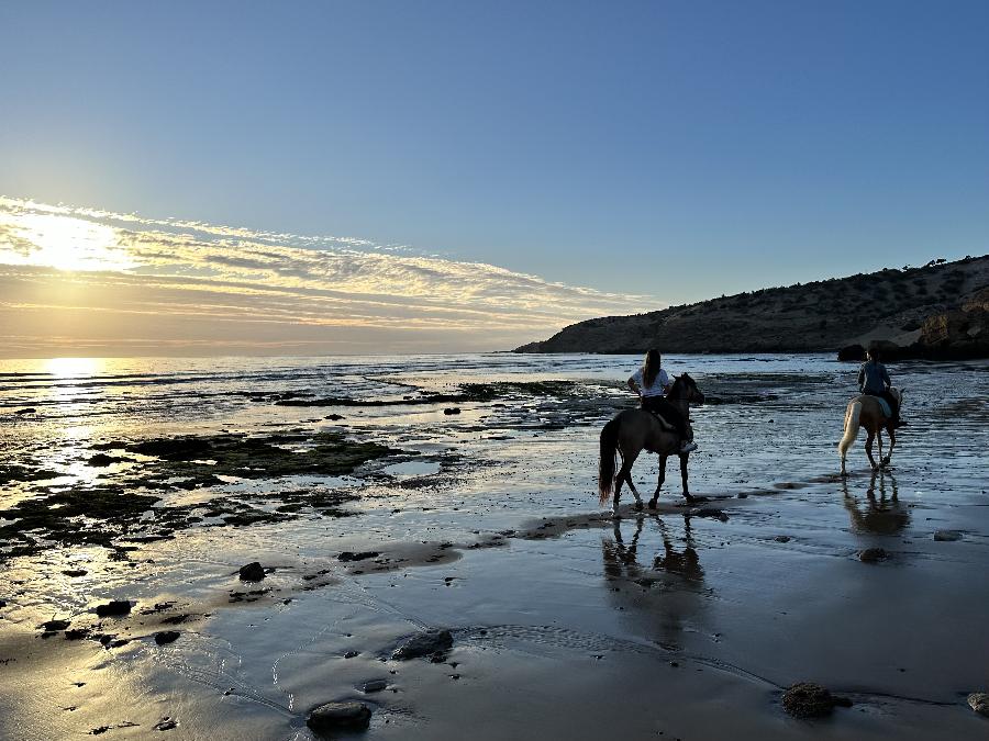 Voyage  cheval MAROC  photo 5