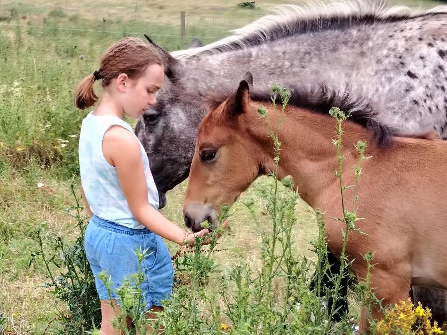 sejour Camps de vacances Tarn