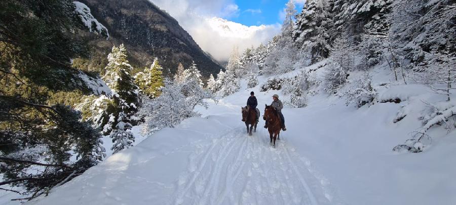 rando Balade  cheval Alpes de Haute-Provence