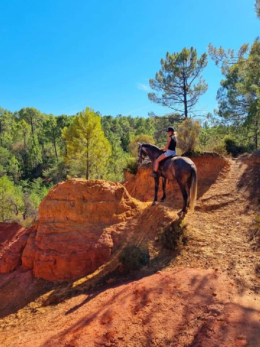 sejour Vaucluse Luberon
