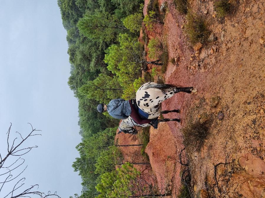 sejour Vaucluse Luberon photo 2