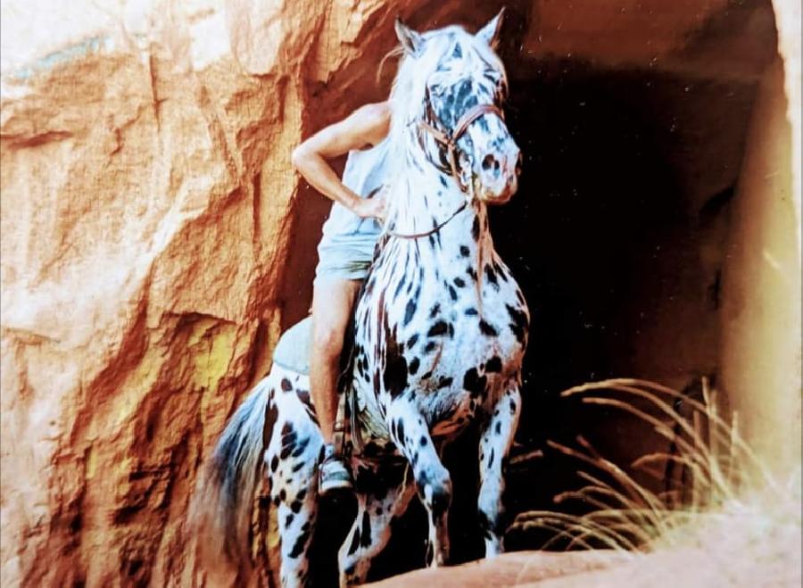 sejour Vaucluse Luberon photo 5