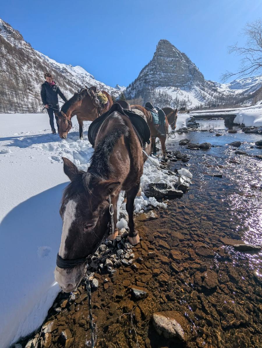 sejour Alpes de Haute-Provence Valle de l'Ubaye photo 2
