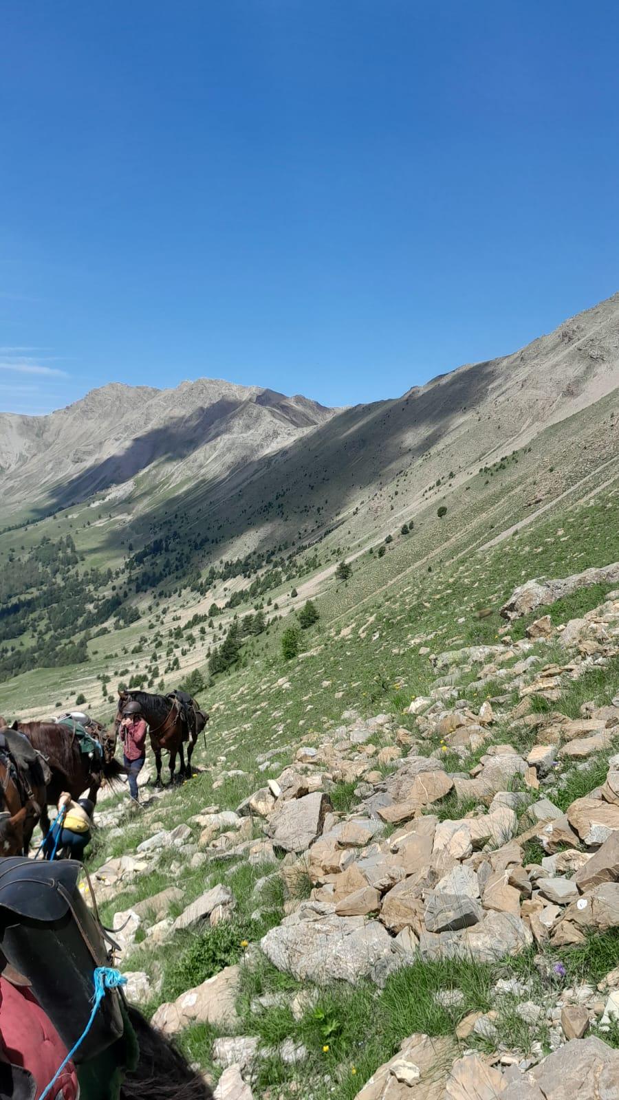 sejour Alpes de Haute-Provence Vall�e de l'Ubaye photo 2