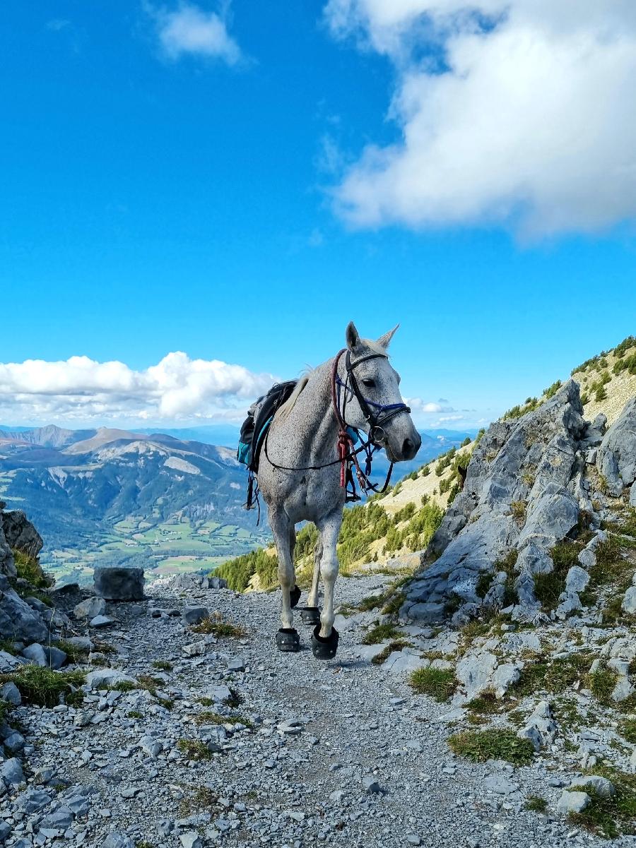 sejour Alpes de Haute-Provence Vall�e de l'Ubaye photo 6