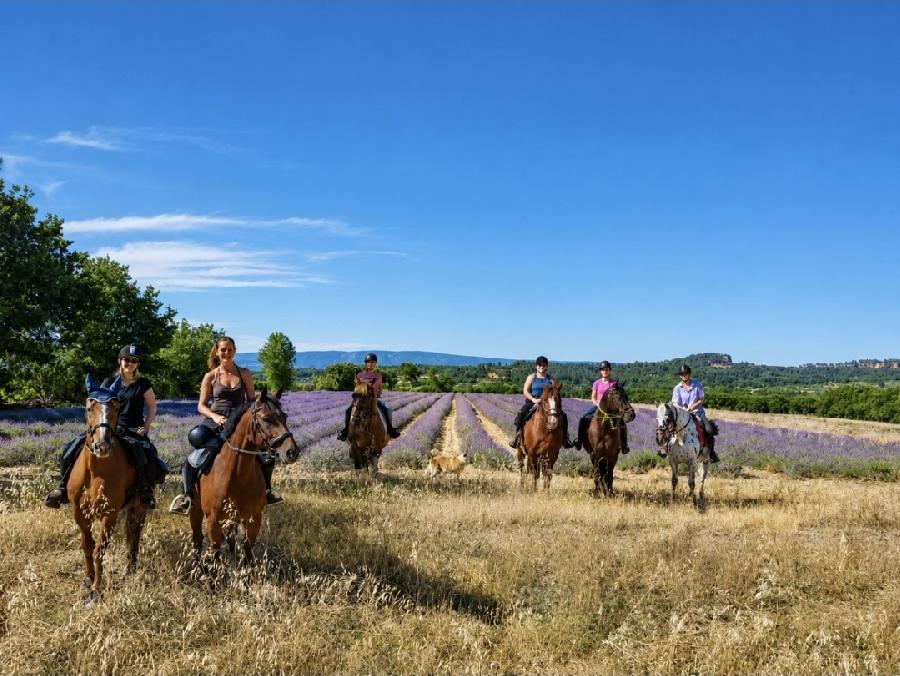sejour Vaucluse Luberon