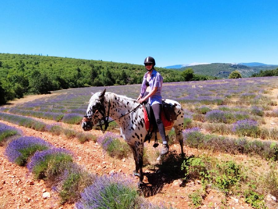 sejour Vaucluse Luberon photo 2