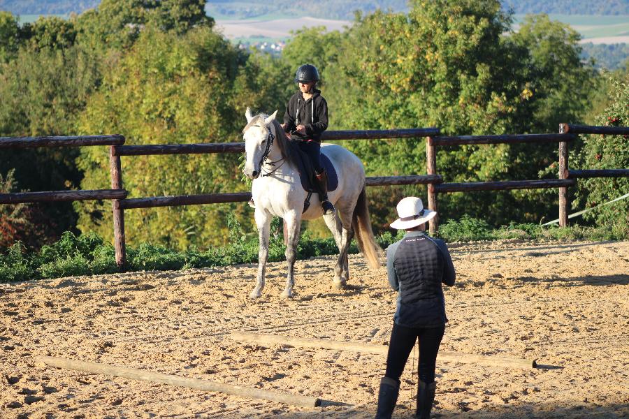 sejour Cheval et bien-tre Seine-Maritime