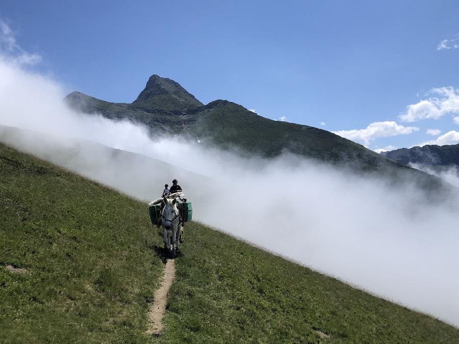 rando Voyage  cheval Hautes-Pyrnes