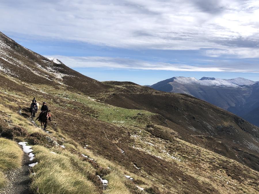 Sjour questre Hautes-Pyrnes Pyrnes