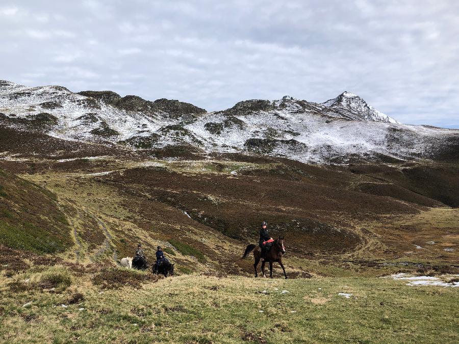 Sjour questre Hautes-Pyrnes Pyrnes photo 5