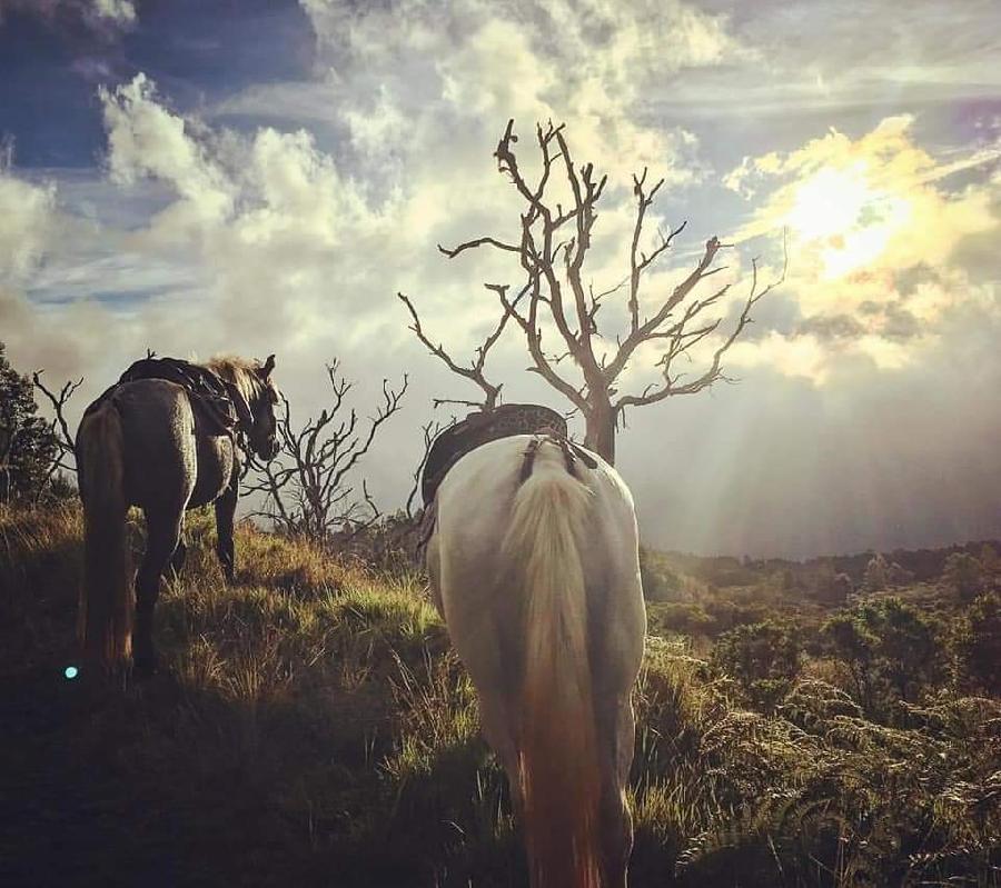 sejour LA RUNION  photo 5