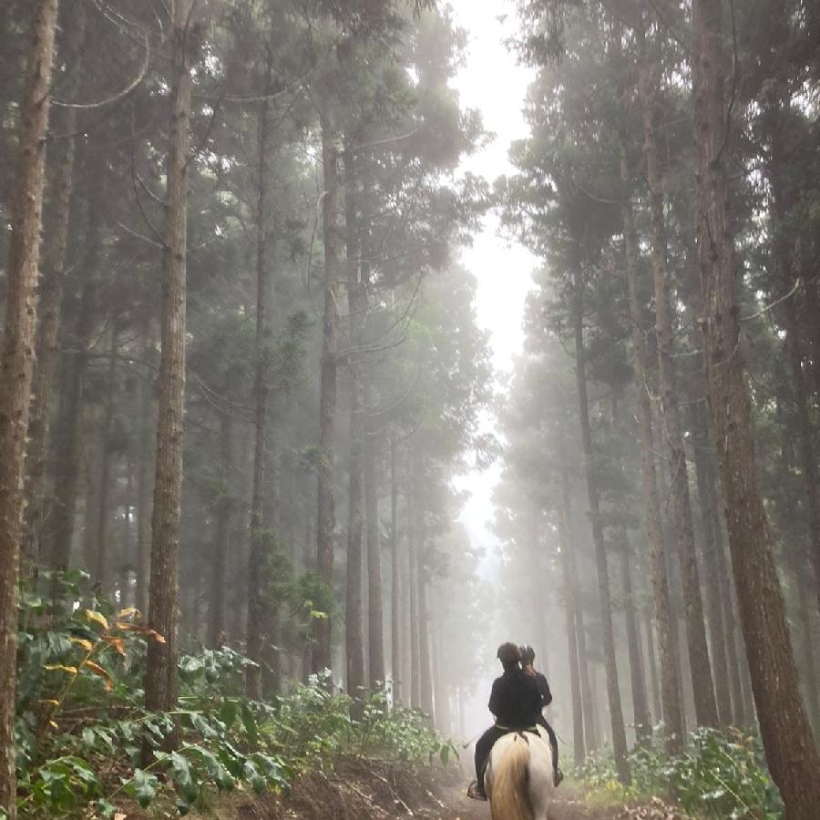 sejour LA RUNION  photo 6