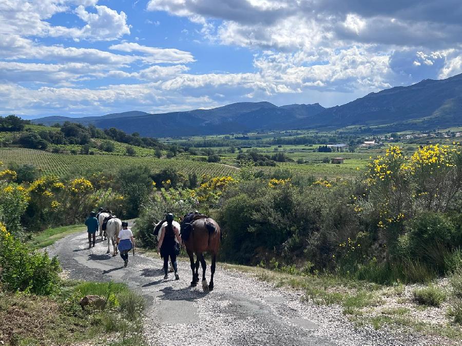 sejour Aude Pays Cathare