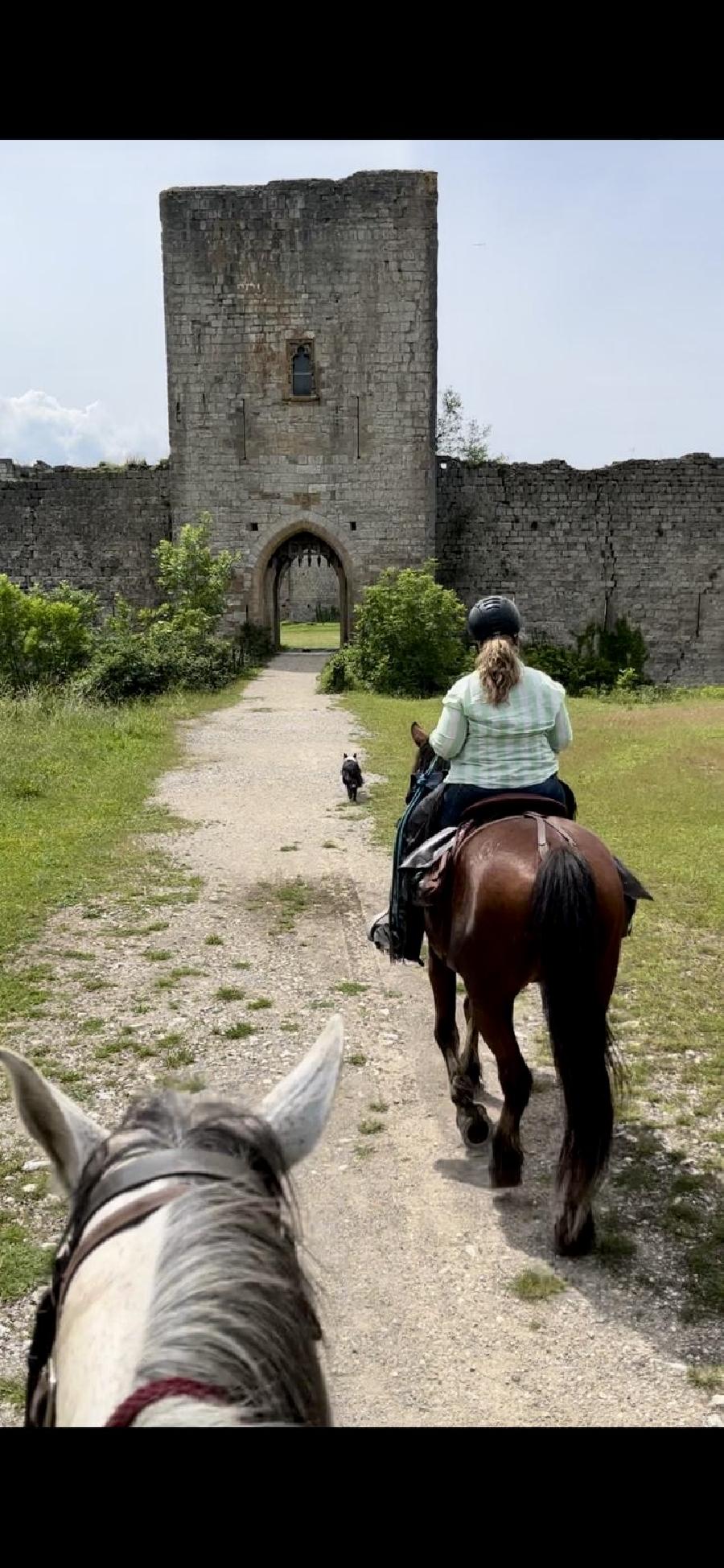 sejour Aude Pays Cathare photo 2