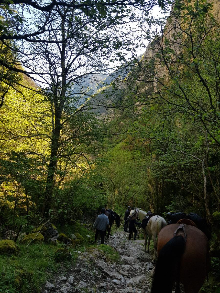 sejour Aude Pays Cathare photo 3