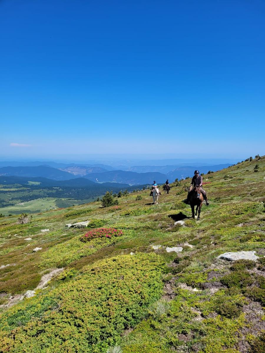 sejour Aude Pyr�n�es photo 2