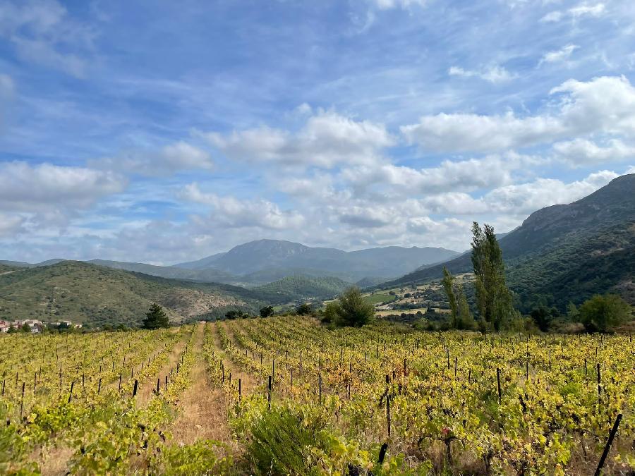 sejour Aude Pays Cathare