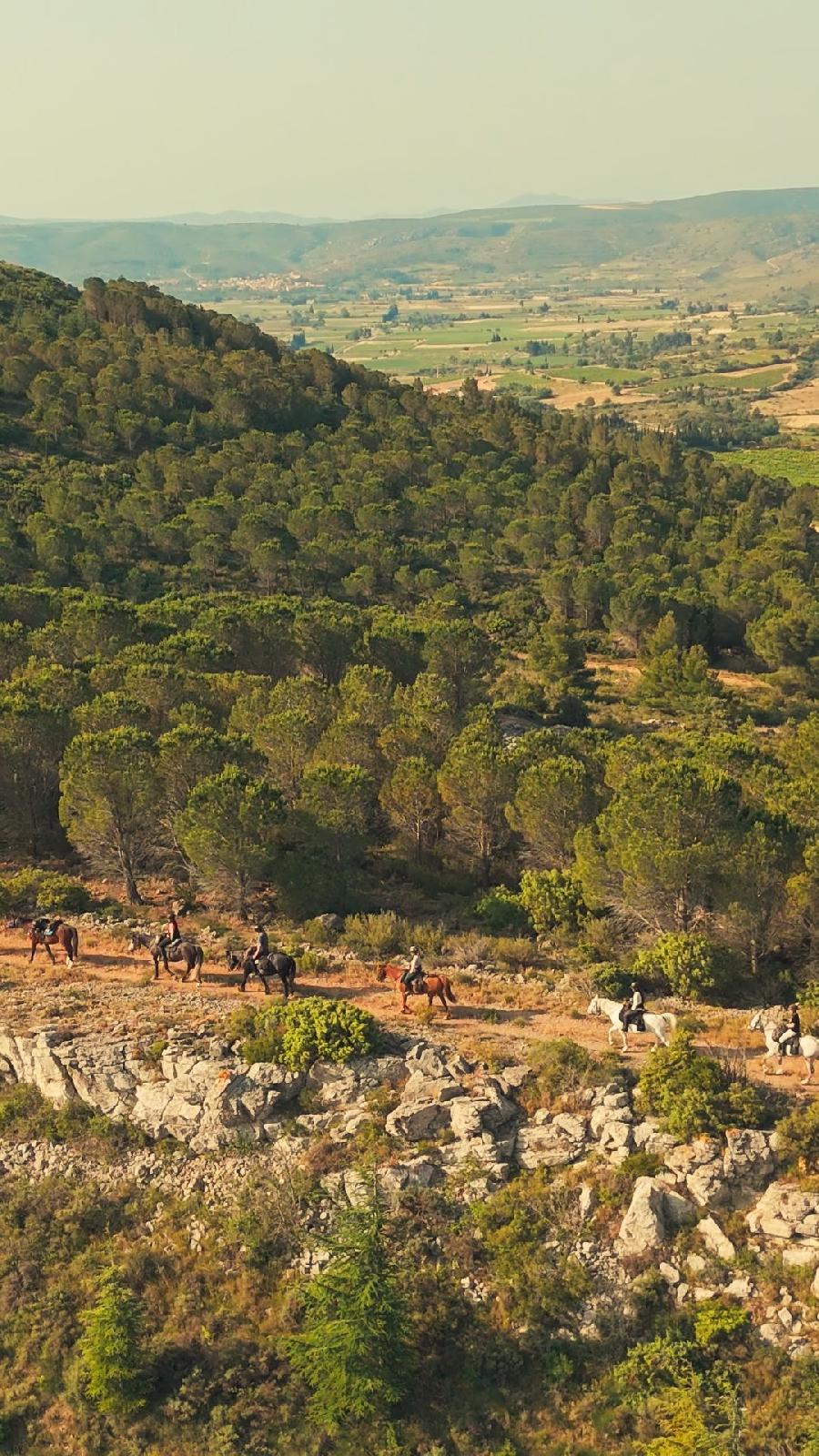 sejour Aude Pays Cathare photo 3