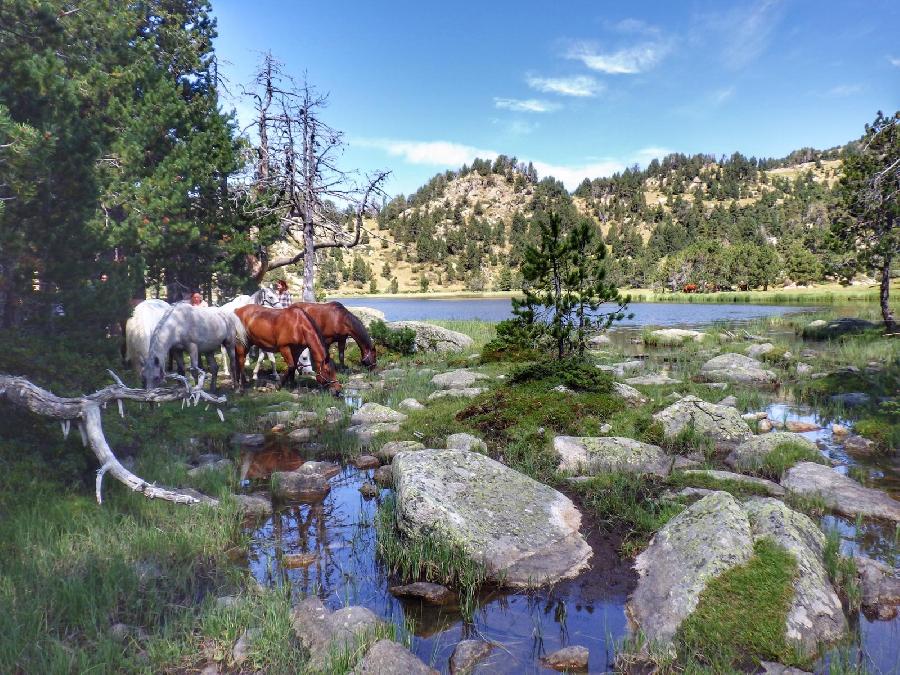 sejour Pyr�n�es-Orientales Pyr�n�es