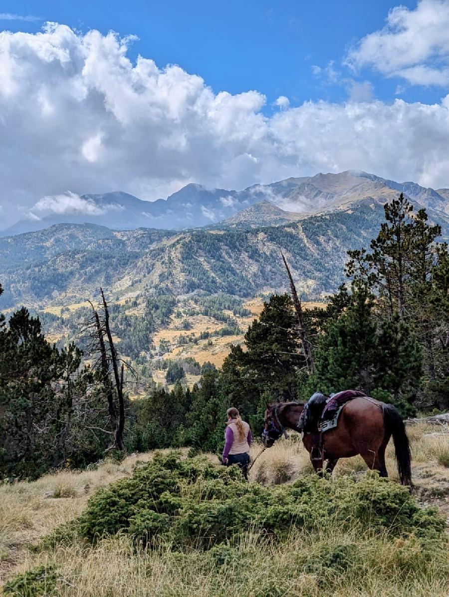 sejour Pyr�n�es-Orientales Pyr�n�es photo 2